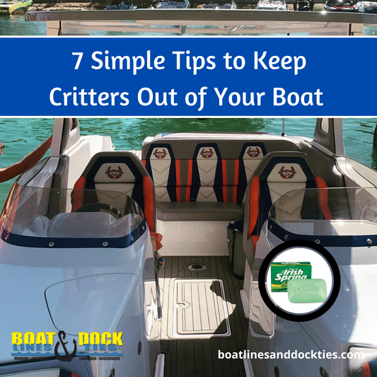 Critters on Board Your Boat? 7 Simple Tips You Should Know