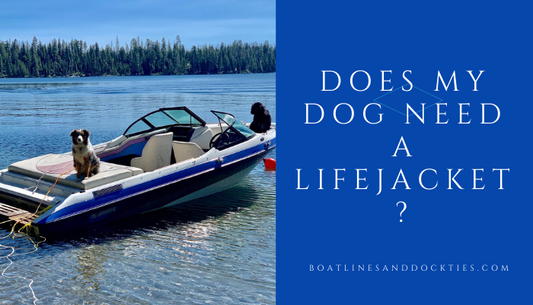 Does My Dog Need A Life Jacket On A Boat?